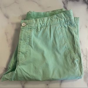 Pantone Universe Green Cotton Shorts Size 31